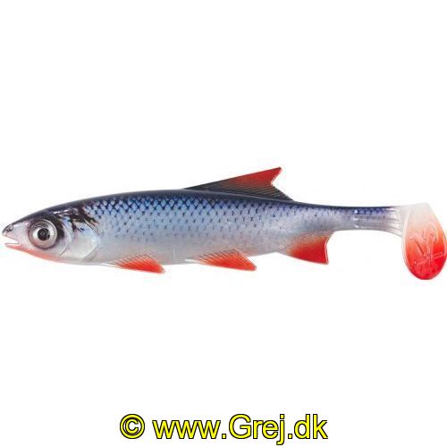 4005652811857 - Clone Shad, UV - 65mm. - Vægt:2g. - Farve:Roach - 001 3677 206<br>Shirasu Clone Shad: the shad from another dimension. 
Forms from the 3D printer: Zander, chub, trout, bream, coarse fish and pike - with the appropriate decor in natural colours or UV. 3D material photo print Design. UV active. Realistic running characteristics.