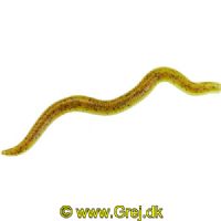 4005652007199 - Wiggle Worm - 8cm - 6 stk. - Flydende - Farve: Green Pumpkin - 133260002