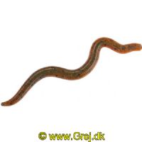 4005652007212 - Wiggle Worm - 8cm - 6 stk. - Flydende - Farve: Green Pumpkin/Amber Red - 133260003