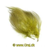 5704041005547 - Grey Mallard Flank - Olive