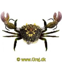 5707549332511 - Westin Coco The Crab - 20mm - 6 gram - Rock Crab