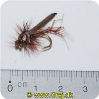 CMSF026 - Stankelben myg med skum brun tørflue Str.6 ( Tipola Paludosa )