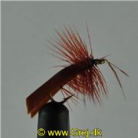 DRY0112 - Horned Sedge - Str.14