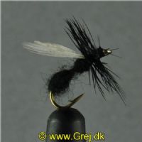DRY0124 - Flying Ant - Str.14