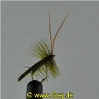 DRY0141 - Horned Sedge - Str.12