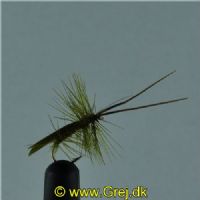 DRY0142 - Horned Sedge - Str.14