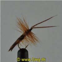 DRY0151 - Horned Sedge - Str.12