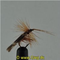 DRY0152 - Horned Sedge - Str.14