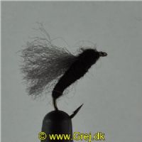 DRY0163 - Rackelhane - Str.12