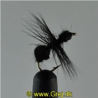 DRY0211 - Black Ant Hackle - Str.12