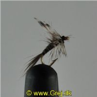 DRY0212 - Mosquito - Str.20