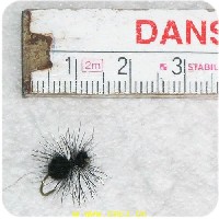 FL42030 - Black Ant - Str. 14