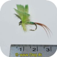 FL42036 - Green Drake Mayfly - Str. 10