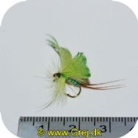 FL42037 - Green Drake Mayfly - Str. 8