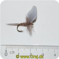 FL43013 - Tørflue FL43013 Siphonurus Alternatus-Dun Unique Flies 