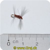 FL43028 - Tørflue FL43028 Beatis Niger-Spinner Unique Flies 