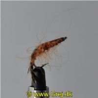 FLY0613 - Loppen Flashback - Str.6