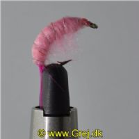 FLY1324 - Gammarus - Str.8