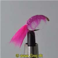 FLY1333 - Gammarus - Str.6