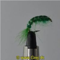 FLY1334 - Gammarus - Str.6