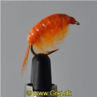 FLY1342 - Gammarus - Str.6