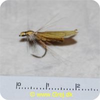 JS012 - Caddis Adult 2 Saff Gold