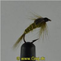NY0163 - Olive ny - Str.12
