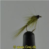 NY0164 - Olive ny - Str.14