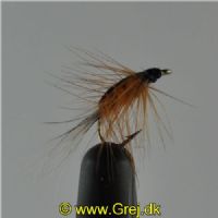 NY0212 - Freshwater Shrimp Orange - Str.14