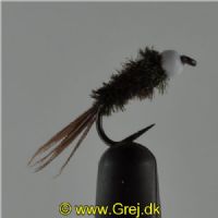 NY0231 - B/H Nymph - Str.14 Barbless