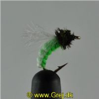 NY0383 - Z-Wing Pupa Lime - Str.14