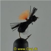 NY0391 - Black Beetle - Str.14
