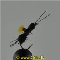 NY0392 - Black Beetle - Str.16