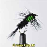 NY0723 - Montana Black/Flue Green - Str.8