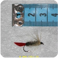 RS0035 - Bristovs Bug