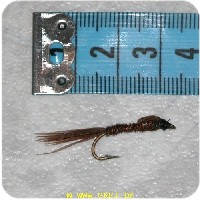 RS0065 - PC Pheasant tail