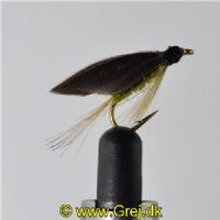 STR0163 - Olive Dun - Str.10