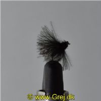 UF0322 - Adult caddis - Str: 20