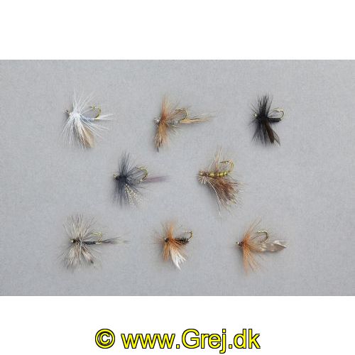4005652161914 - Edition Fly, flue sortiment - Variant:Dry Fly - 001 6800 001<br>The most popular and best flies for catching, put together by leading fly fishing experts for a wide variety of uses. The names of the respective fly is on each blister pack as a guide for beginners.