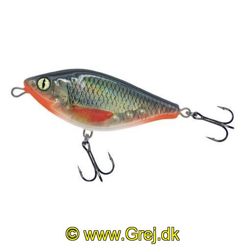 4005652853055 - Shirasu Jerk Bait wobler - 100mm. - Vægt:42g. - Farve:Clear Roach, UV - arbejdsdybde130cm - Baittype:Jerk Bait - 001 3356 004<br>Absolute top-class hardbait: Developed by our Shirasu Pro Staff team, produced in the EU! The hardbait features the highest quality workmanship and technical sophistication, including TSS (Twin Top Water System) or Cast & Balance systems. The true value of a high-quality hardbait, however, only becomes apparent when you look at its performance, which ultimately decides whether it is a success or a failure. Each type of hardbait in the Shirasu series has its own individual features, precisely matched to the type of guide and the expected target fish. The Twitch hardbait, for example, swings out sideways (Walk the Dog), the Asp hardbait vibrates at a high frequency and the Deep Diver is aggressive. Our Pro Staffers have spent countless
hours and tests on the water optimising these features. Each individual hardbait is put through a test basin at the manufacturer’s before delivery. This means that you can be 100% sure that only perfectly running hardbaits leave the production.
All plugs are lead-free and fitted with steel balls. Caution: extremely sharp trebles! 

The Shirasu Jerk Bait is easy to jerk and reel in. When jerked, it breaks out sideways. When reeling in monotonously, it runs through the water with S-curves. The Shirasu Jerk has a special feature: If you make a recovery stop, it slowly sinks down flanking. This flanking sink appears to trigger an impulse in the pikes, as it is in this phase that they often attack. Diving depth 8cm: 1.1m, 10cm: 1.3m, 12cm: 1.5m.