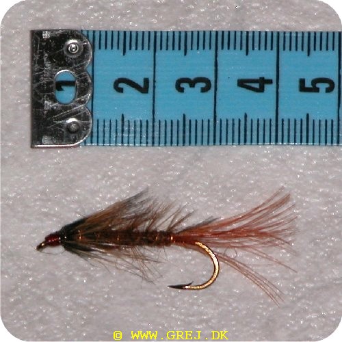 520 - Streamer str. 6 Brown Palmer