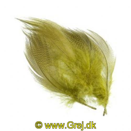 5704041005547 - Grey Mallard Flank - Olive