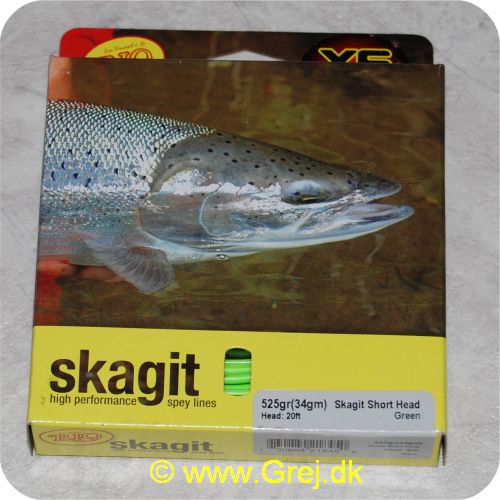 730884218450 - Rio Skagit Short head light floating - 6.1m - 34g - 525 grains - Grøn - Både til singel hands og switch rods - Til stænger kortere end 12 fod - RP 21845