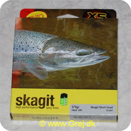 730884218467 - Rio Skagit Short head Medium floating - 6.1m - 37.2g - 575 grains - Grøn - Både til singel hands og switch rods - Til stænger kortere end 12 fod - RP 21846