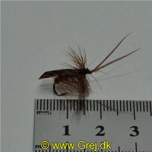 DRY0111 - Horned Sedge - Str.12<br>