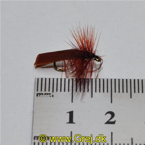 DRY0112 - Horned Sedge - Str.14<br>