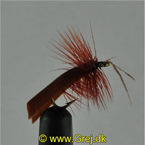 DRY0112 - Horned Sedge - Str.14<br>