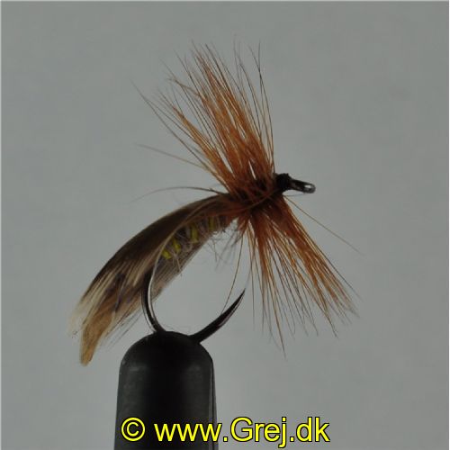 DRY0122 - europa 12 - Str.12<br>