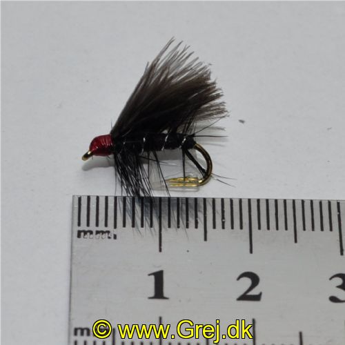 DRY0123 - Red Head Black Sedge - Str.12<br>