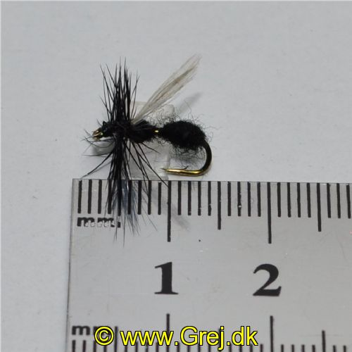 DRY0124 - Flying Ant - Str.14<br>